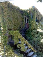  - Учкуевка - Гостевые дома 2019 - севастополь отдых 2018 частный сектор