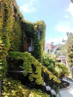 Учкуевка 2020 - севастополь отдых 2018 цены частный сектор - Гостевой дом «Ирина Янтарная»