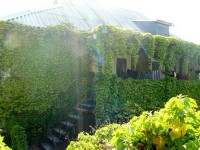 Учкуевка 2020 - отдых в севастополе частный сектор - Гостевой дом «Ирина Янтарная»