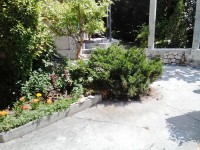 Учкуевка 2020 - севастополь отдых 2018 цены на берегу - Гостевой дом «Ирина Янтарная»