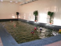 Жемчужный 2020 -  - Курорт «Озеро Шира»