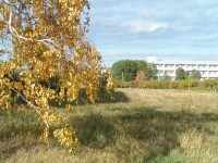 Жемчужный 2020 -  - Курорт «Озеро Шира»