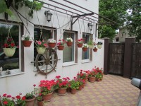  - Геленджик - Гостевые дома 2019 - дом отдыха у моря в России