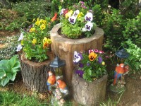 Севастополь 2024 гостевые дома недорого и без посредников - Лучшие отели 2018