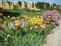 Севастополь 2024 отдых в отелях и гостиницах - Лучшие отели 2018