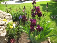 Севастополь 2024 гостиницы - цены - Лучшие отели 2018