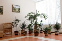 лучшие гостиницы и отели - Зеленая зона 2024 Тольятти 2024 - Лучшие отели 2018