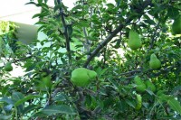 Керчь 2020 - недорогие номера в частном секторе - База отдыха «Лагуна»