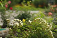  - Курск - Санатории 2019 - санаторий официальный сайт цены на 2018