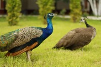 Курск санаторий год - Лучшие отели 2018