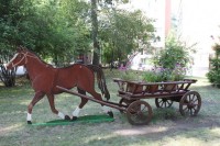 лучшие гостиницы и отели - Зеленая зона 2024 Тольятти 2024 - Лучшие отели 2018