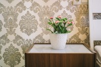  - Москва - Отели 2019 - бюджетный отдых без питания