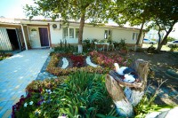 Витязево 2020 - отдых на Черном море с детьми - База отдыха «Чайка»