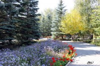 Хомутинино 2020 -  - Санаторий «Урал»