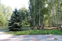 Хомутинино 2020 -  - Санаторий «Урал»