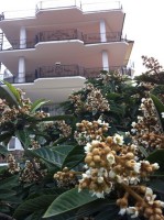 Сочи - Отели 2019 - хочу на юга в гостиницы Краснодарский край - Сочи - Отели 2019 - хочу на юга на море