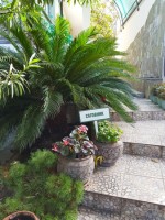 Сочи 2019 - отдых в отелях и гостиницах - Отель «Машук»