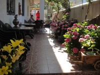 Сочи 2019 - отдых - цены в гостиницах - Отель «Машук»