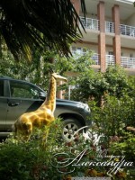 Геленджик 2020 - гостевые дома возле моря - недорого - Гостевой дом «Отдых у Александра»