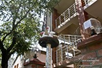 Геленджик 2020 - проживание в гостевых домах - стоимость - Гостевой дом «Отдых у Александра»