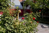 Геленджик 2020 - гостевые дома на набережной - Гостевой дом «Отдых у Александра»