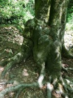 Лазаревское 2020 - отдых на море недорого с питанием - Гостевой дом «Подкова»