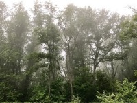 Краснодарский край - Анапа - Базы отдыха 2019 - список гостиниц и отелей с питанием