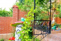 Геленджик 2024 снять жилье недорого в частном секторе - Лучшие отели 2019