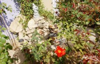 Джемете 2019 - отели возле моря - Мини - гостиница «Розовый фонтан»