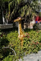 Геленджик 2020 - ваши гостевые дома - Гостевой дом «Отдых у Александра»