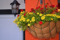 Анапа 2024 бесплатный отдых на море - Лучшие отели 2022