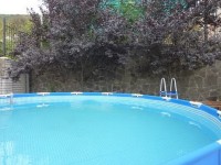 Сукко 2019 - отдых на море без посредников недорого - Гостевой дом «Парус»