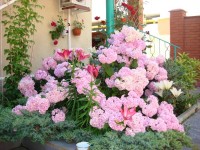 Анапа 2024 снять квартиру в частном секторе - Лучшие отели 2019