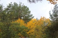 Владимир 2024  - Лучшие отели 2019