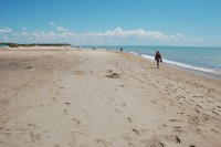 Благовещенская 2020 -  - Пансионат «Зенит»