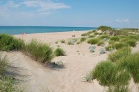 Благовещенская 2020 -  - Пансионат «Зенит»