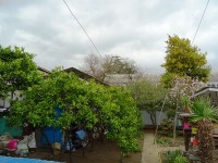 Сочи частный сектор возле моря - Лучшие отели 2019