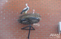 Дивноморское 2020 - частный отдых на море - цена - Гостевой дом «У Аистов»