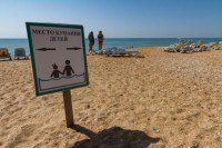 Благовещенская 2020 -  - Пансионат «Зенит»