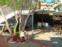 Сочи - Гостевые дома 2019 - отдых без посредников - оплата посуточно Краснодарский край - Сочи - Гостевые дома 2019 - отдых у моря - все включено