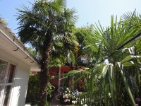 Лазаревское - Гостевые дома 2019 - отели на берегу с бассейном Краснодарский край - Лазаревское - Гостевые дома 2019 - отели с бассейном на берегу моря