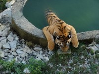 Геленджик 2024 отдых на море в отеле - Лучшие отели 2019