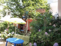 Лазаревское - Гостевые дома 2019 - отели с пляжем - первая линия Краснодарский край - Лазаревское - Гостевые дома 2019 - отели рядом с морем - все включено