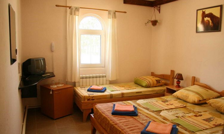 отдых на 7 дней - цены