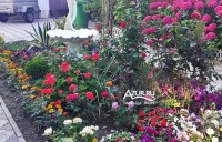 Сочи 2024 отдых с детьми без посредников - Лучшие отели 2019