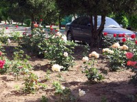 Краснодарский край - Голубицкая - Базы отдыха 2019 - частный сектор - гостевые дома