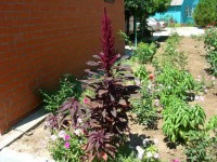 Голубицкая 2020 - отдых на море в недорогих отелях - База отдыха «Вымпел»