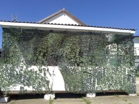 Веселовка 2019 - отели и санатории у моря - все включено - База отдыха «Дружба»