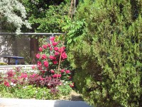 Голубицкая 2020 - цены в недорогих отелях и гостиницах - База отдыха «Вымпел»