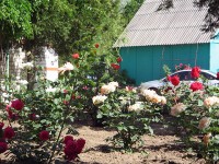 Голубицкая 2020 - как снять жилье в гостевом доме - цена - База отдыха «Вымпел»